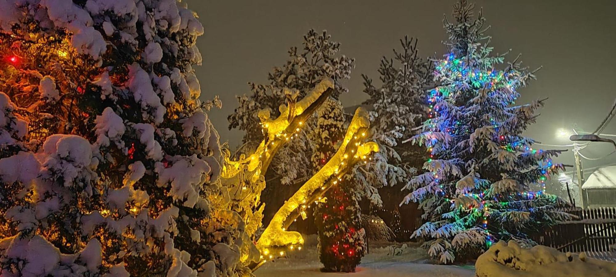 Eden Garden Sovata Villa Dış mekan fotoğraf