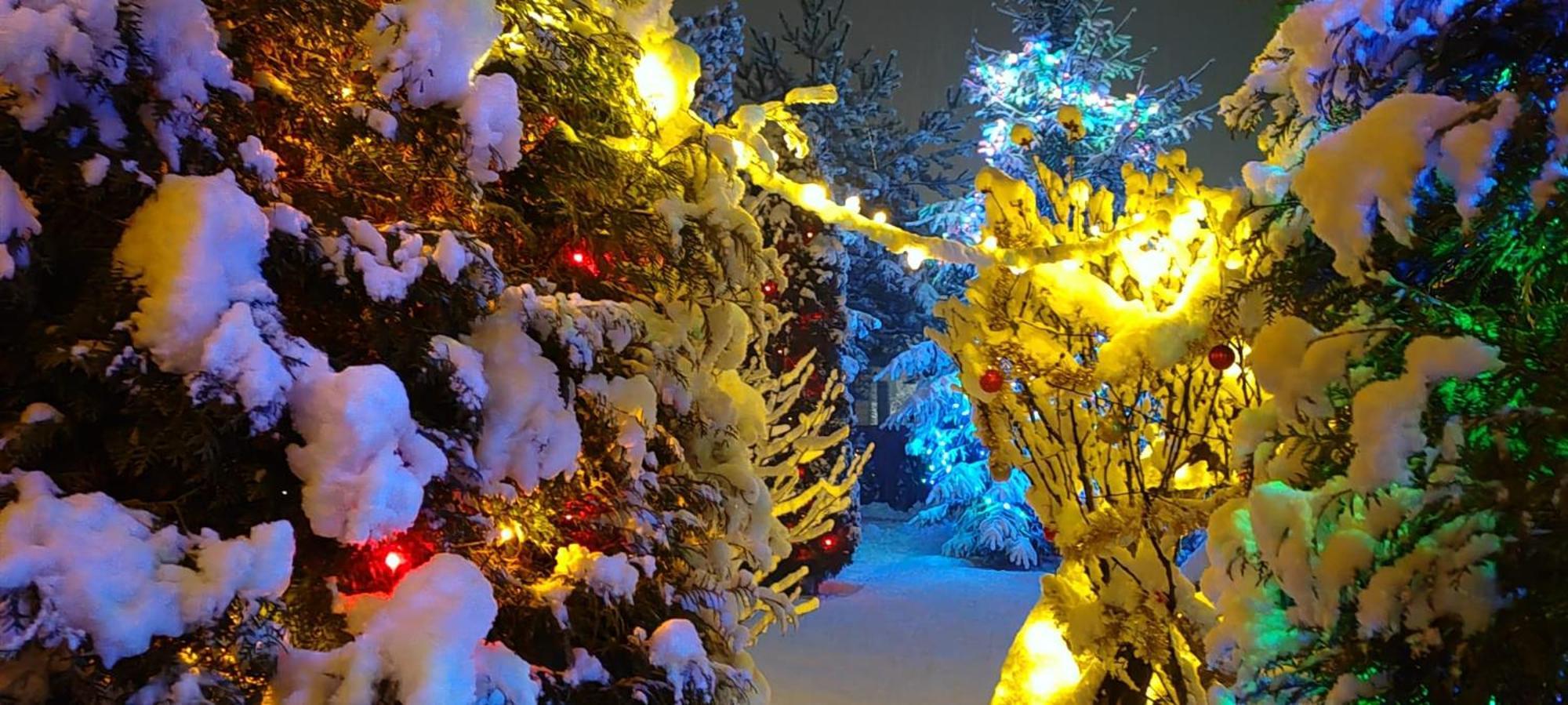 Eden Garden Sovata Villa Dış mekan fotoğraf