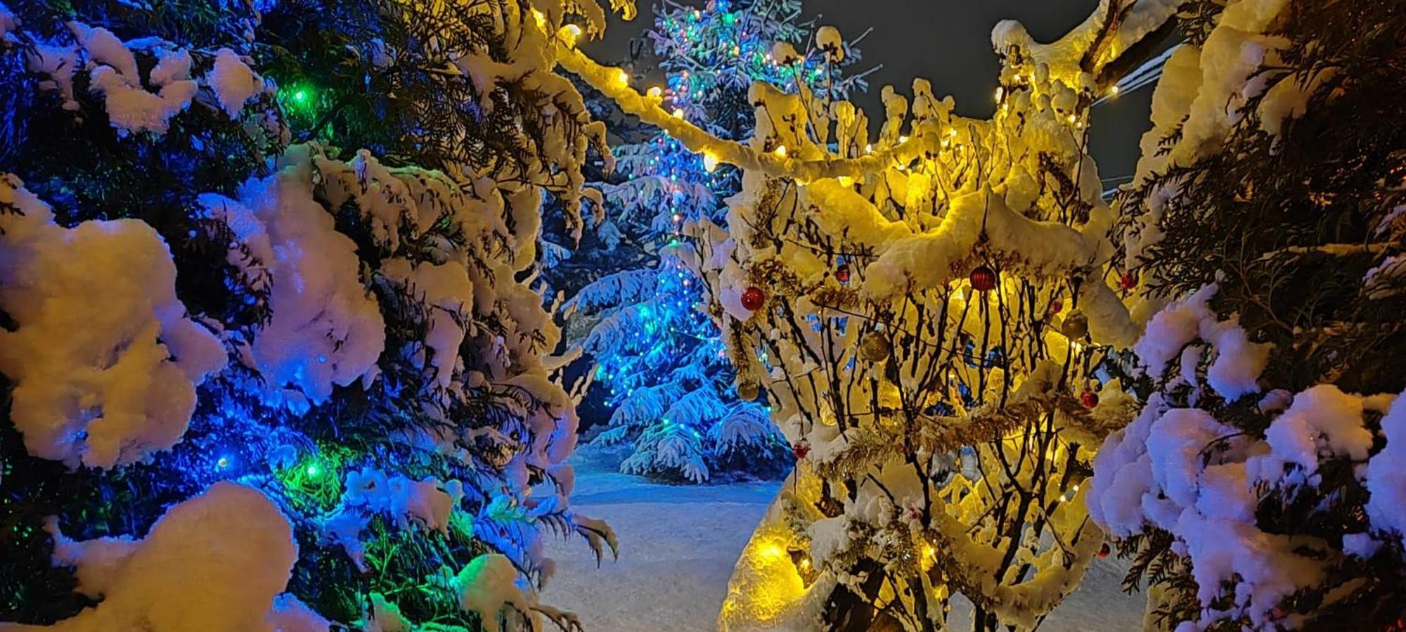 Eden Garden Sovata Villa Dış mekan fotoğraf