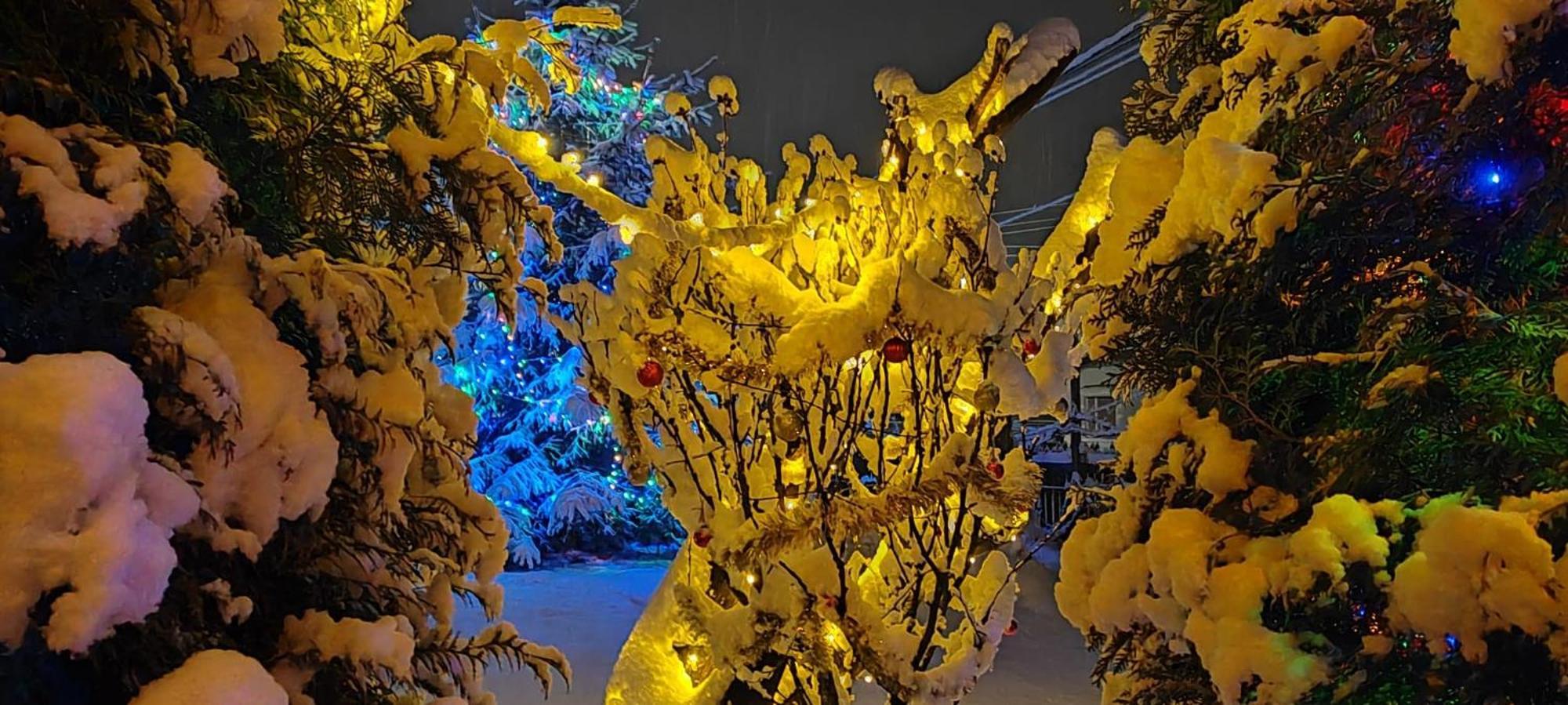 Eden Garden Sovata Villa Dış mekan fotoğraf