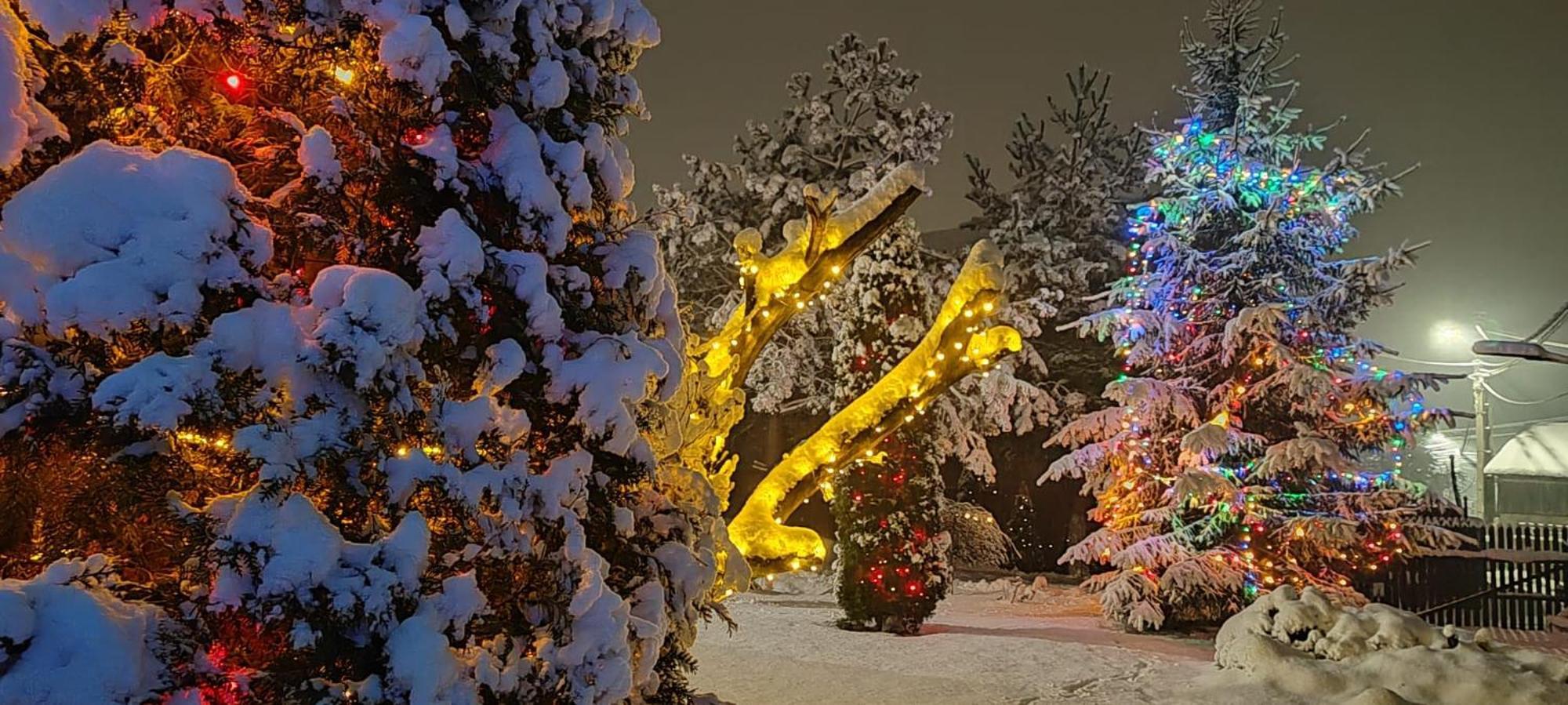 Eden Garden Sovata Villa Dış mekan fotoğraf