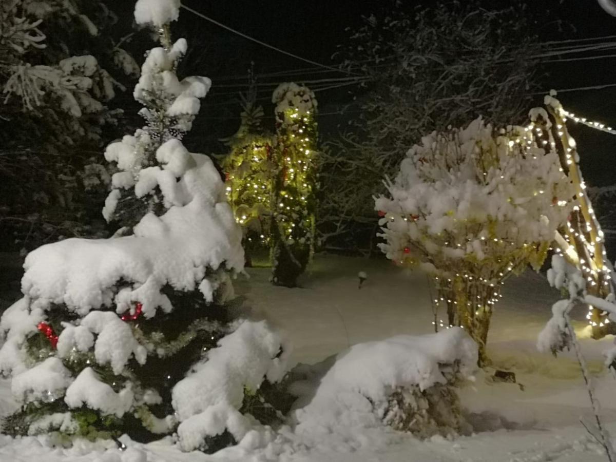 Eden Garden Sovata Villa Dış mekan fotoğraf