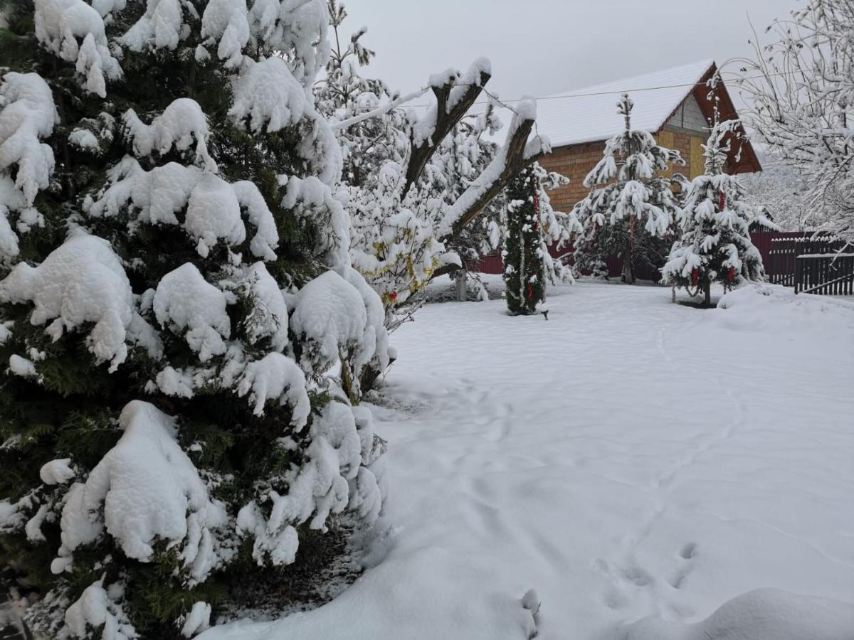 Eden Garden Sovata Villa Dış mekan fotoğraf