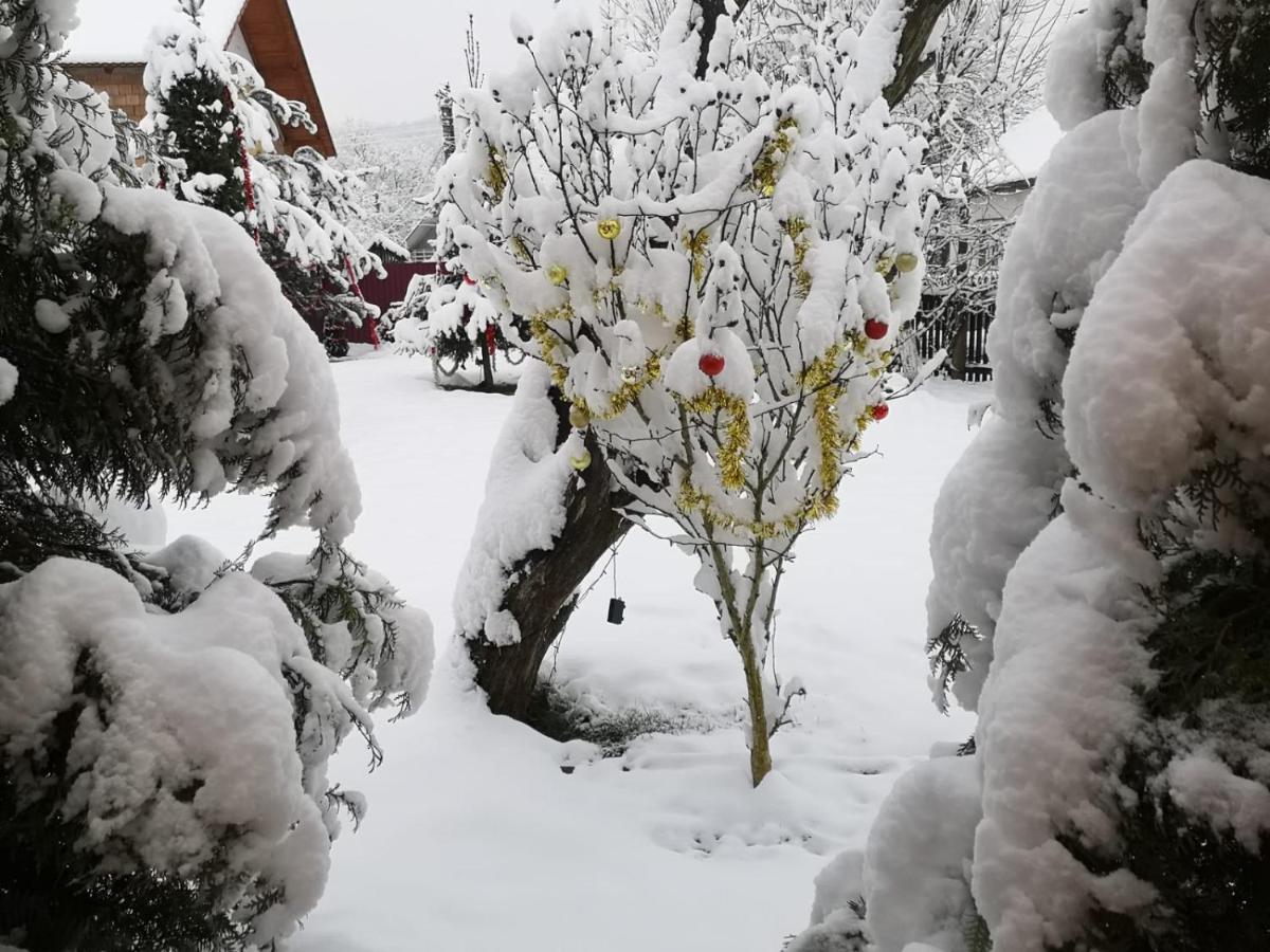 Eden Garden Sovata Villa Dış mekan fotoğraf