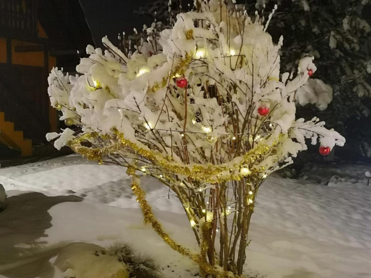 Eden Garden Sovata Villa Dış mekan fotoğraf