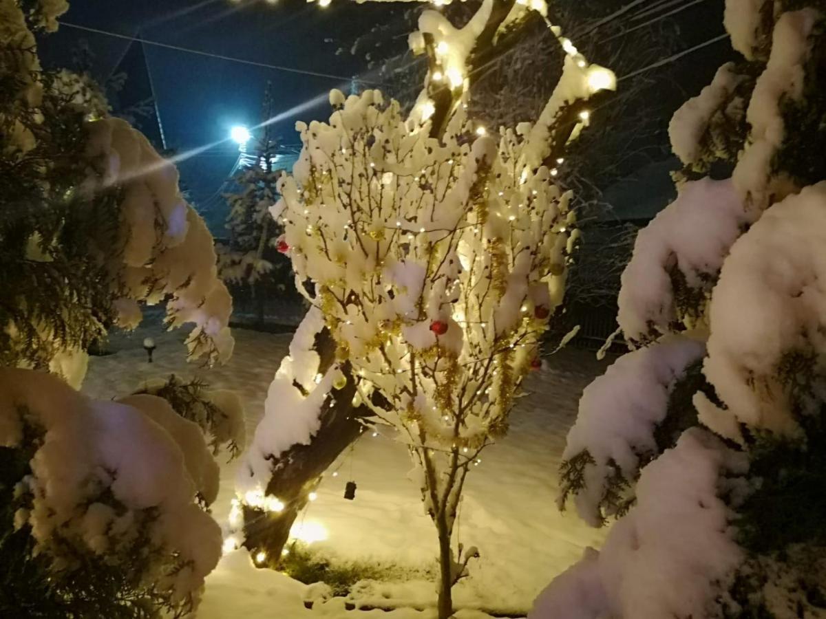 Eden Garden Sovata Villa Dış mekan fotoğraf
