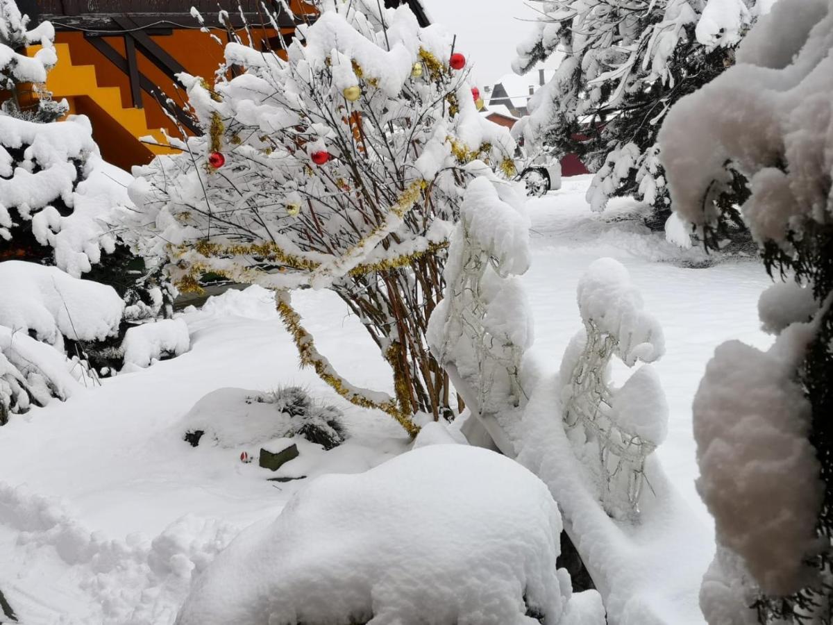 Eden Garden Sovata Villa Dış mekan fotoğraf
